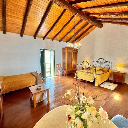 Guanche 'Casa Rural Canaria' Сан-Мігель-де-Абона Екстер'єр фото